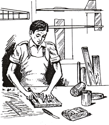pic_ved.gif (55651 bytes)