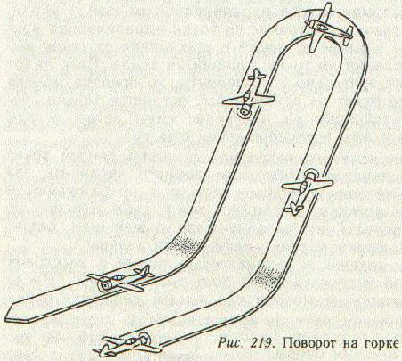 219.jpg (44188 bytes)